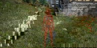 Stories of the Serpent – Tech Demo