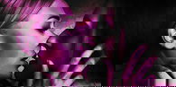Cybersex Singularity